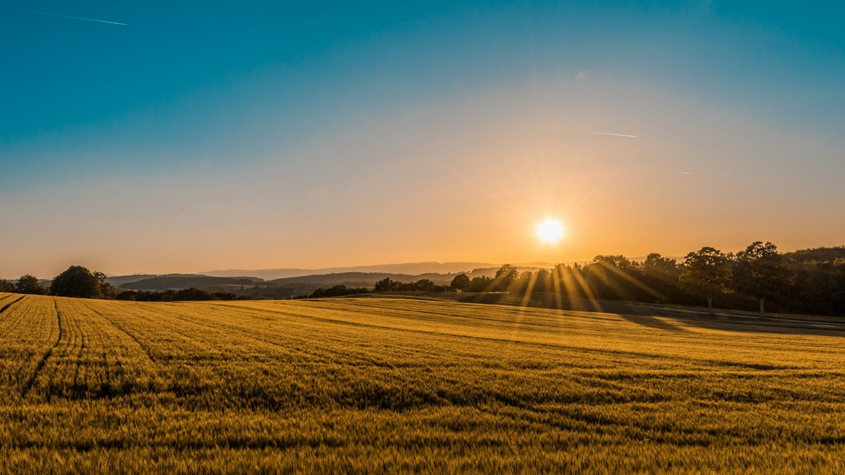 Agriculture & Agroalimentaire Régénératif
